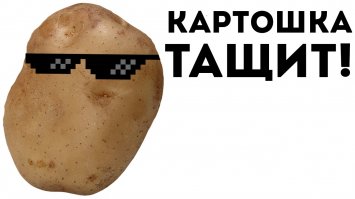 Про картофель