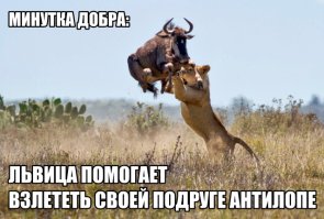 Борьба за выживание, охотники