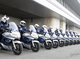 Спецподразделение ГАИ РБ "Стрела". Ареал обитания - Минск и Минский район, но могут иногда встречаться в других местах Беларуси (особенно, если ГАИ проводит какие-то операции). Подразделение выполняет задачи по сопровождению высших должностных лиц и эскортированию глав делегаций иностранных государств в случаях, предусмотренных дипломатическим протоколом, контролирует работу подразделений ГАИ, помогает в обеспечении безопасности дорожного движения регионам, следит за соблюдением дорожной дисциплины сотрудниками милиции. Иногда могут развлекаться от скуки, как показано на видео. Если в Беларуси тебя остановили гаишники и на их автомобиле или мотоцикле бело-синяя эмблема, рекомендуется вести себя вежливо, говорить, не повышая голося, судорожно вспоминать что и где нарушил, и какое за это наказание.