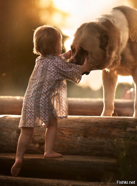 На деревню к бабушке.... Как отдыхалось летом у бабушки в деревне???