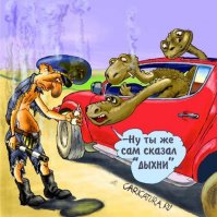 Свежая подборка автоприколов