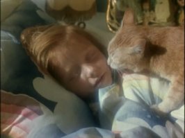 Томасина. КОшка полне "обычная", но сам фильм Фильм - "Безумная Лори" - пробирает до костей. Возможно, чуть нудноват для нового поколения, воспитанного на фильмах, где спецэффектов больше, чем смысла, но на меня в свое время произвел неизгладимый эффект.