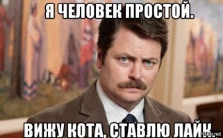 Все правильно сделал бро ))  Здоровья котейке твоему