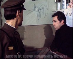 10 лучших экранных котов и кошек  (11 фото)