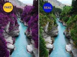 вот оригинал фотографии