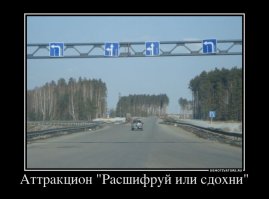 Свежая подборка автоприколов