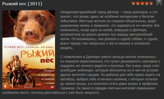 Каждый день эта старая собака проходит 6 километров, чтобы поздороваться с людьми