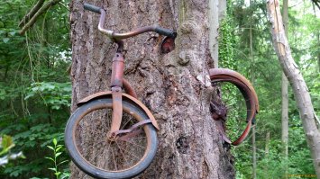 из той же серии