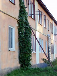 вот наш вариант