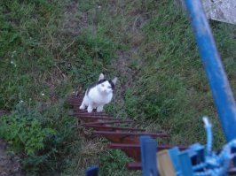 вот наш вариант