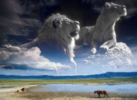 Умер лев Лео друживший и живший 15 лет с друзьями медведем и тигром