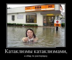 Царевна лягушка?