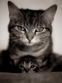 Спасибо тебе добрая женщина