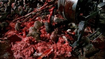 Мусофобия - боязнь крыс и мышей
Фильм - "Ночная смена" 1990 г. (Graveyard Shift) по С. Кингу