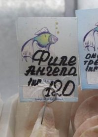 Ни одного судя по консервам "филе ангела"