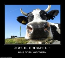 Что ты такое? 