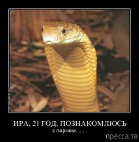 то что вы не знали о змеях