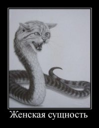 15 тревожных фактов о змеях, которые вы предпочли бы не знать