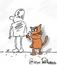 10 лучших экранных котов и кошек  (11 фото)