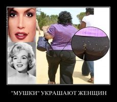 Демотиваторы про женщин