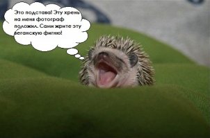 Смешные картинки из соц.сетей