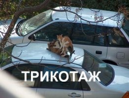 Интересная история русских слов