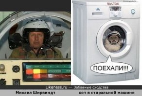 Коты - умные существа. Тут надо не напором брать, а заинтересовать...