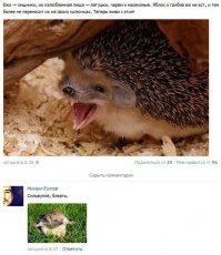 Тут я уже не удержался)))) спс аффтору...