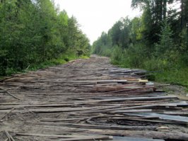 Трасса Р1 Вытегра-Каргополь-Плесецк-Архангельск. Протяженность 517 км. фотография июль 2016 года. Ура-Ура-ура!!! Россия... Вперед!