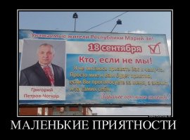 Выборы, выборы... Кандидаты молодцы