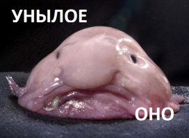 Кто проживает на дне океана? После этого поста у вас появится много вопросов к морским глубинам!