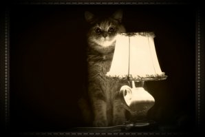 Необъяснимые истории путешественников во времени