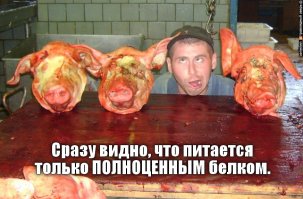 Ох, уж эти веганы