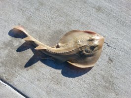 Приятного аппетита