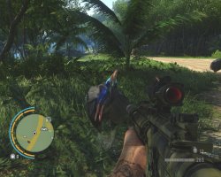 Играл сейчас в FarCry3. Ну бегал там, пиратов мочил... После очередного замеса отбежал в густую траву, хилку вколоть, и вдруг слышу злобный клекот за спиной. Да. Меня убил казуар. ПТИЧКА с.у.к.а!!!!!!