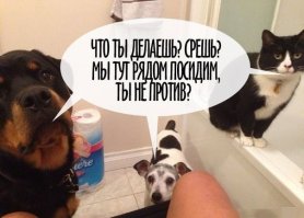 Ну у меня точно так, если двери не успеешь закрыть. ))