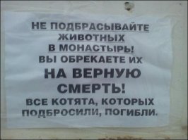 Так пойдет?