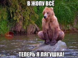 Медведи зажигают