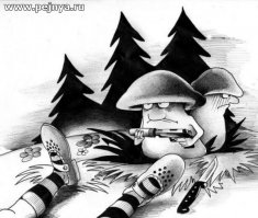 Конец дачного сезона и ещё несколько картинок для раздумий