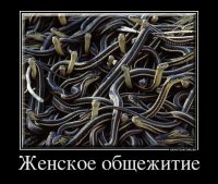 Зато уютненько