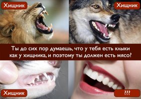 Смотреть нужно на зубы