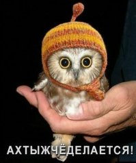 М.л.я, померещилось!