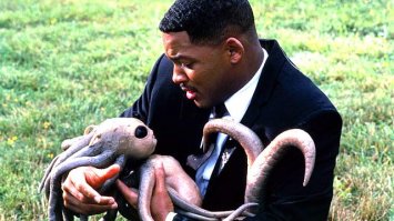 Типа того...