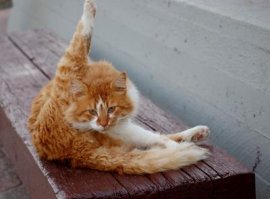 Смешные картинки из соц.сетей