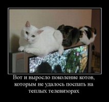 не моё. Стащила на просторах интернета.