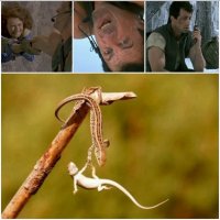 Вспомнился почему то фильм "Скалолаз" со Сталлоне.