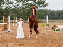 Красота и грация