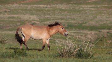 Человек сам её сделал.
А Бог подарил что-то в этом роде: