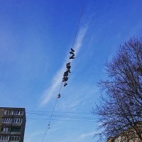 А тут что у автора разорвалось?