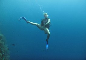 Парень сделал крутое селфи с горбатым китом